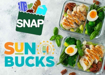 SUN Bucks are over in this State but you can still get SNAP benefits