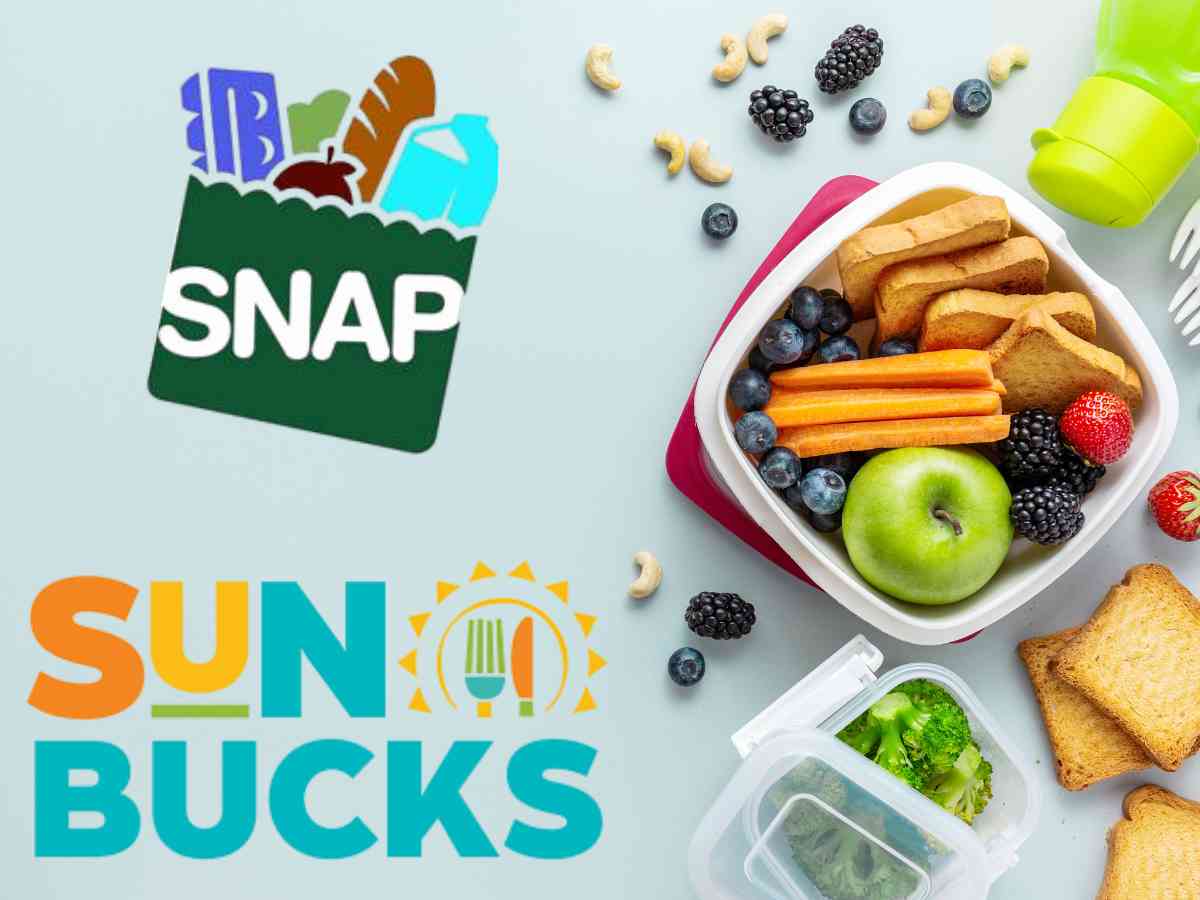 120 dollar payment from SUN Bucks is available in these States