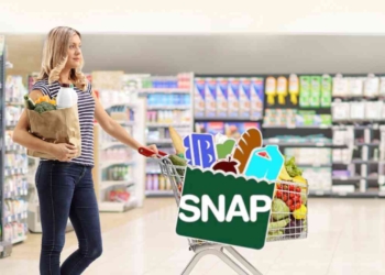 Find out when you need to recertify or renew your SNAP or Food Stamps
