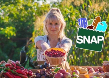 SNAP benefit payments from mid-June in the United States