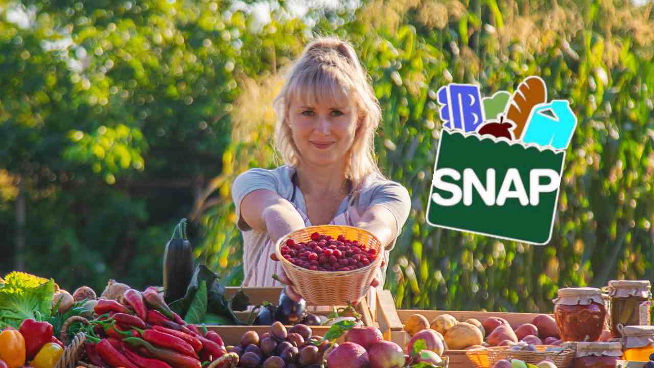 SNAP benefit payments from mid-June in the United States