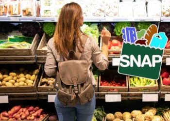 SNAP payments and the 2026 COLA increase