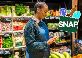 SNAP payments from June 19 to June 28 in the U.S.