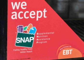 SNAP benefit payments in Florida, Texas and other States