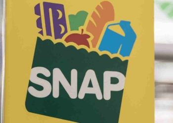 SNAP payments from July 7, amounts and states