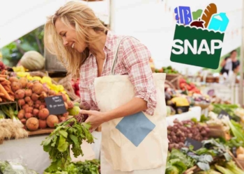 SNAP payments of up to $3,516 to be paid on July 1 2025