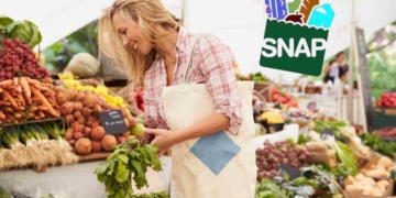 SNAP payments of up to $3,516 to be paid on July 1 2025