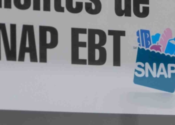 SNAP payments while you are working in the USA