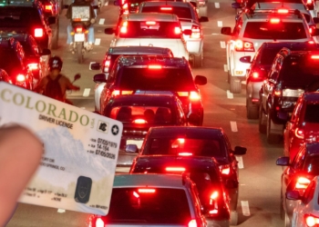 driver license trick DMV summer