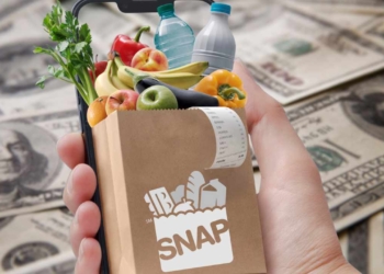 SNAP benefits in August 2025: The full schedules for ever US state and territory