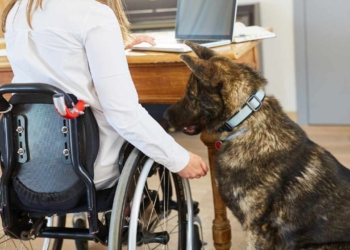 SSDI Payment Dates for August 2025: Full Schedule