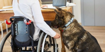 What's the Full Schedule for SSDI Benefits in August 2025 SSDI Payment Dates for August 2025: Full Schedule