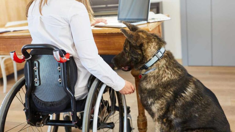 SSDI Payment Dates for August 2025: Full Schedule