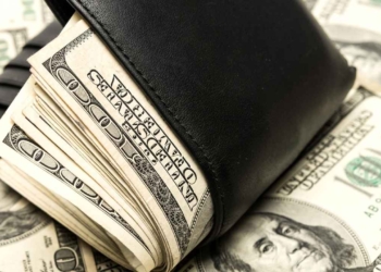 Georgia's Surplus Tax Refunds Program