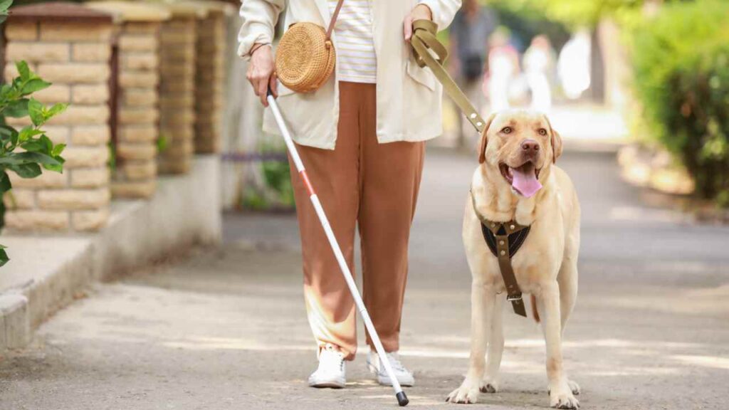 People with blindness are also covered in the SSDI program