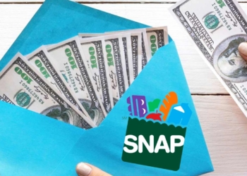 SNAP Benefits in New York State