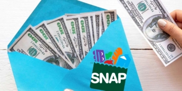 SNAP Benefits in New York State