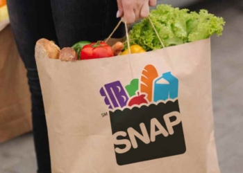 SNAP benefits in NY: October dates confirmed