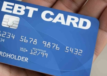 Government Shutdown Puts November SNAP Benefits at Risk: See If Your State is Affected