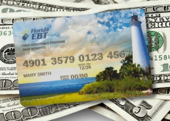 Official 2025-2026 Maximum Benefit Tables for Households