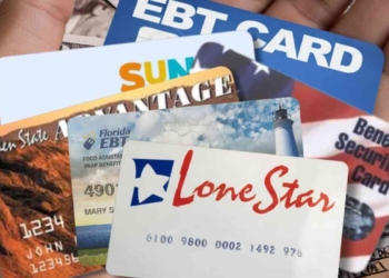 SNAP Benefits Get a Boost: What Families Need to Know for 2026 2026 SNAP COLA: Max Benefits Hit $994 for a Family of Four—Is It Enough?