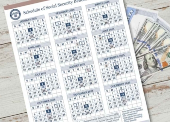 Why No SSI Check in November?