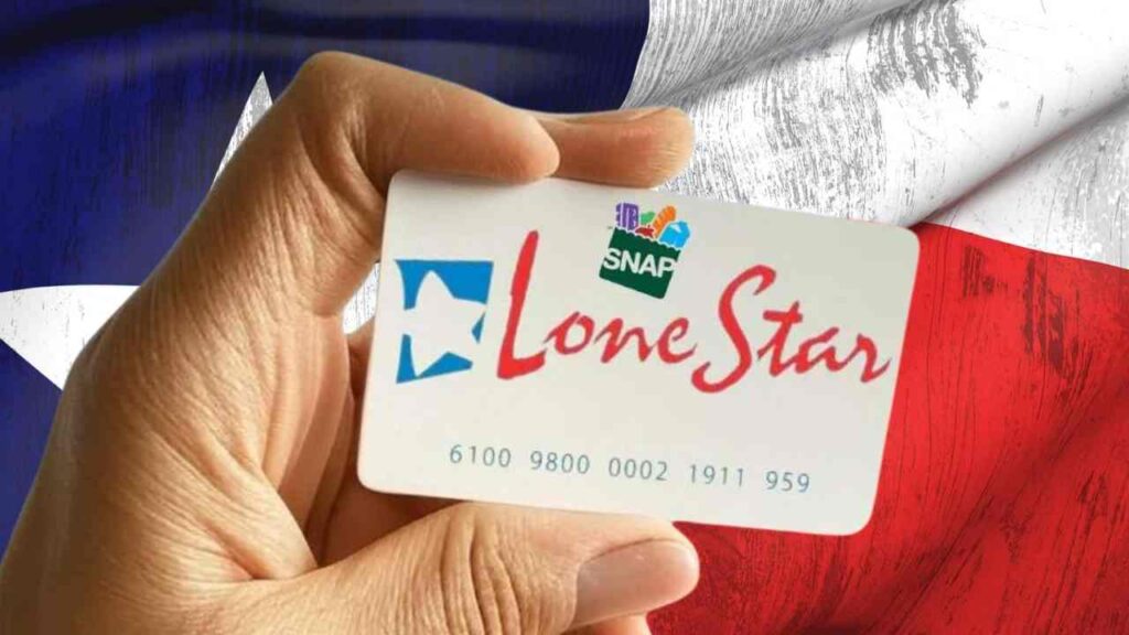 Need Help with Groceries in Texas? Here’s Your Step-by-Step Guide to SNAP Benefits