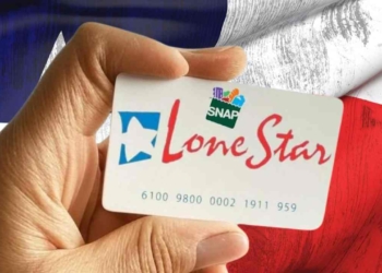 Need Help with Groceries in Texas? Here’s Your Step-by-Step Guide to SNAP Benefits