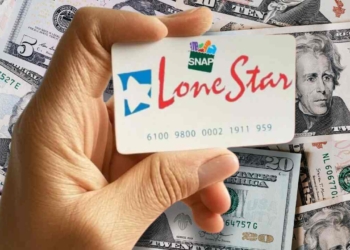 Latest SNAP Payments in Texas: Families with Certain EDG Numbers Will Receive Benefits This Week When to expect your SNAP benefits if you reside in Texas