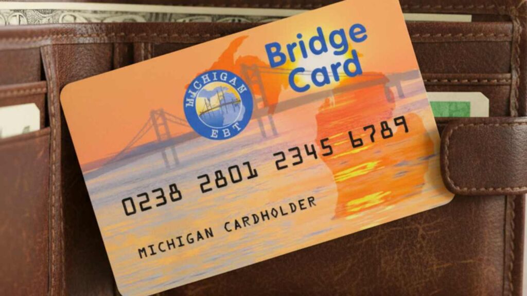 Michingan's SNAP benefits EBT card