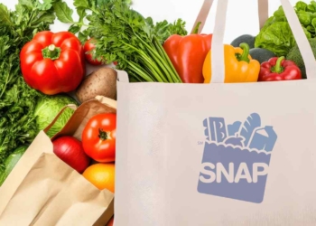 New SNAP Benefits Rules That Are Now in Force and Will Impact Your Payments New SNAP requirements for certain populations