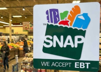 SNAP Benefits Update: Work Requirement Rule Change Explained