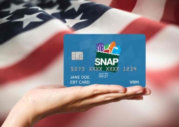 November and December SNAP Benefits