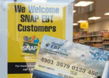 Florida SNAP Benefits: Who Gets Their Food Stamps Payments This Week Florida SNAP Benefits: December 2025 Schedule