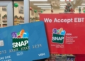 SNAP Benefits: 19 States Are Still Sending Funds Until December 28th SNAP Benefit Schedule for 19 States in Final December Weeks