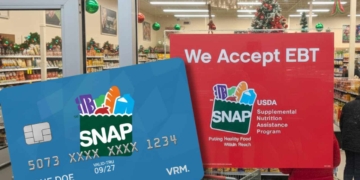 SNAP Benefit Schedule for 19 States in Final December Weeks