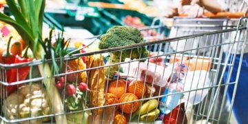 Headline: New CalFresh Income Limits for 2026: See If You Qualify