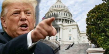 Trumps "tariffs" stimulus checks