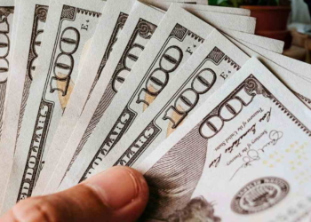 Eligibility hinges on income, age, and residency. Learn the specific rules for your state's program and key dates