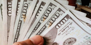 Eligibility hinges on income, age, and residency. Learn the specific rules for your state's program and key dates