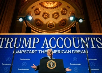 From Stimulus Checks to Seed Money: The Reinvention of Direct Government Payments