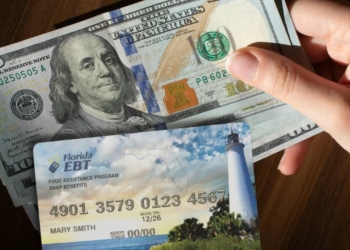 Florida SNAP Benefits in February