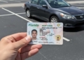 Driver's License in the United States: Florida Just Made a Huge Change
