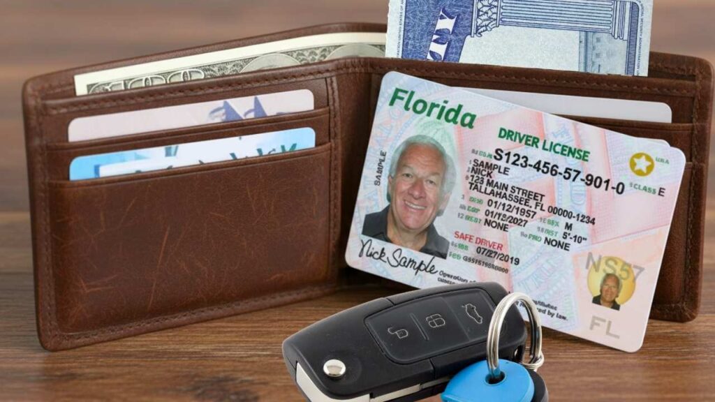 Moving to Miami: what Florida law demands about your driver's license