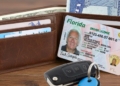 Moving to Miami: what Florida law demands about your driver's license