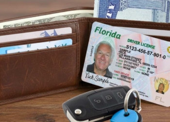 Moving to Miami: what Florida law demands about your driver's license
