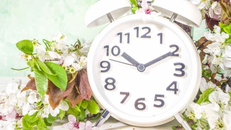 Daylight Saving Time 2026