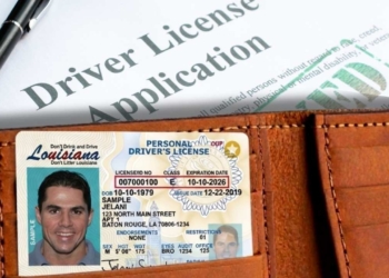 An eagle on your license? Louisiana moves ahead with citizenship marker