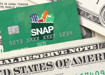 SNAP Benefits: Payment schedules, maximum allotments and more