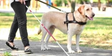 Social Security Disability 2026: Updated SGA Thresholds, Work Credits and Maximum Benefits